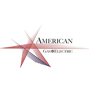 American Gas and Electric Group American Gas and Electric Group